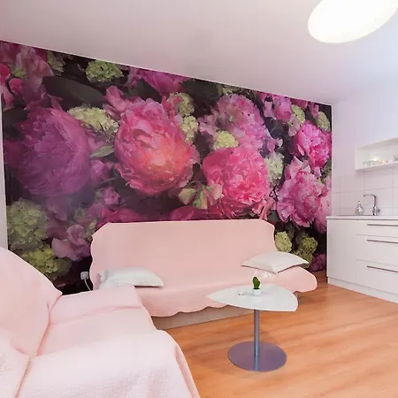 Apartament City *