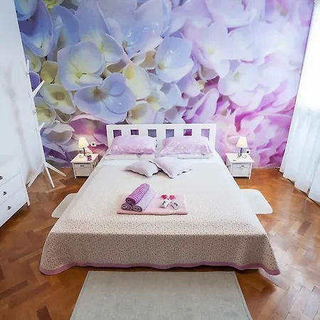 Apartament City *