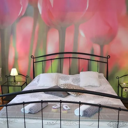 Apartmán City Zadar